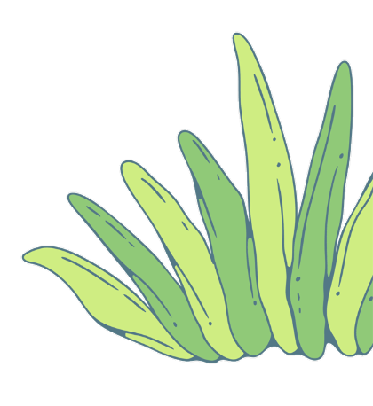 rumput kanan